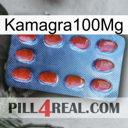 Kamagra100Mg 06